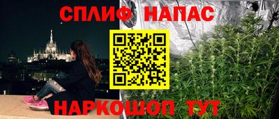 дживик Владимир