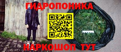 дживик Владимир
