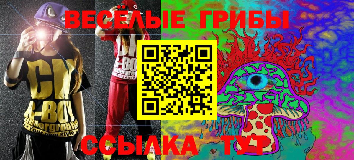 Галлюциногенные грибы GOLDEN TEACHER  Вход с VPN  как найти закладки  Галлюциногенные грибы прущие грибы  Вязьма 